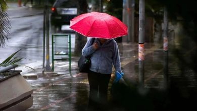 سازمان هواشناسی