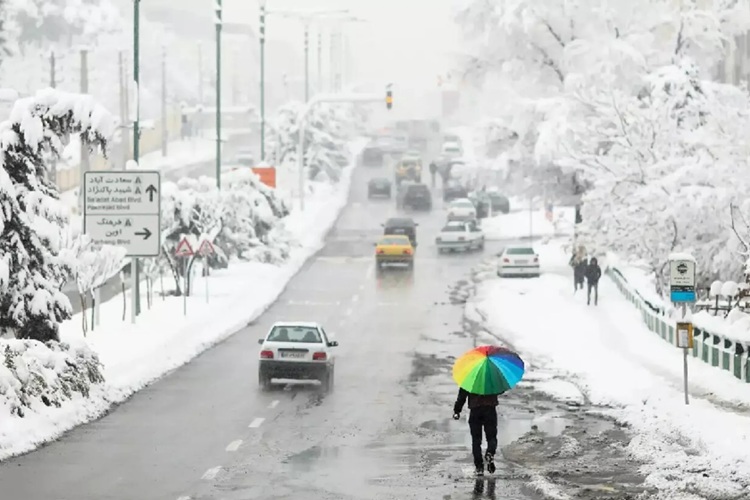 سازمان هواشناسی