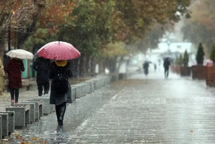 سازمان هواشناسی