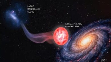 بکرترین ستاره جهان کشف شد