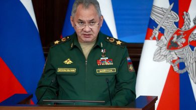 سرگئی شویگو