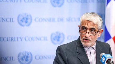 سعید ایراوانی