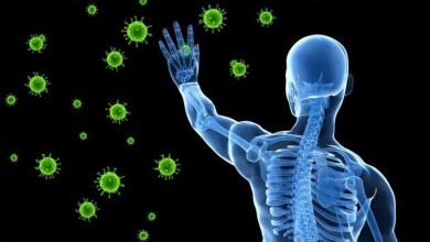 سیستم ایمنی بدن