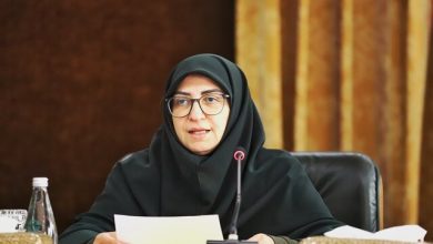 شینا انصاری