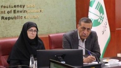 قائم‌پناه و انصاری