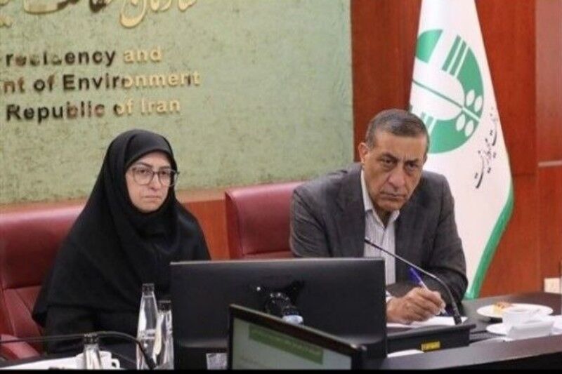 قائم‌پناه و انصاری