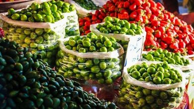 قیمت عمده میوه