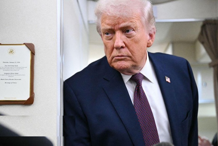 متحدان ناتو