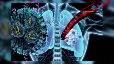 نانوذراتی که سرطان ریه و تحلیل عضلات را هم‌زمان درمان می‌کنند