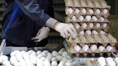 کالاهای اساسی