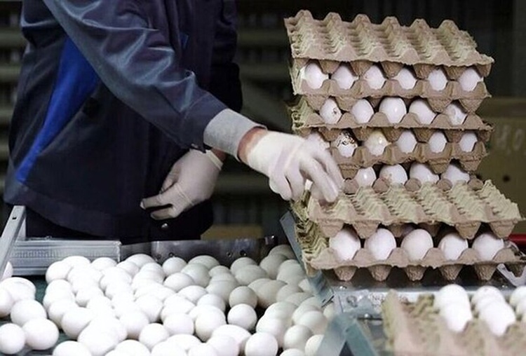 کالاهای اساسی