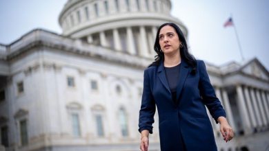 یاسمن انصاری