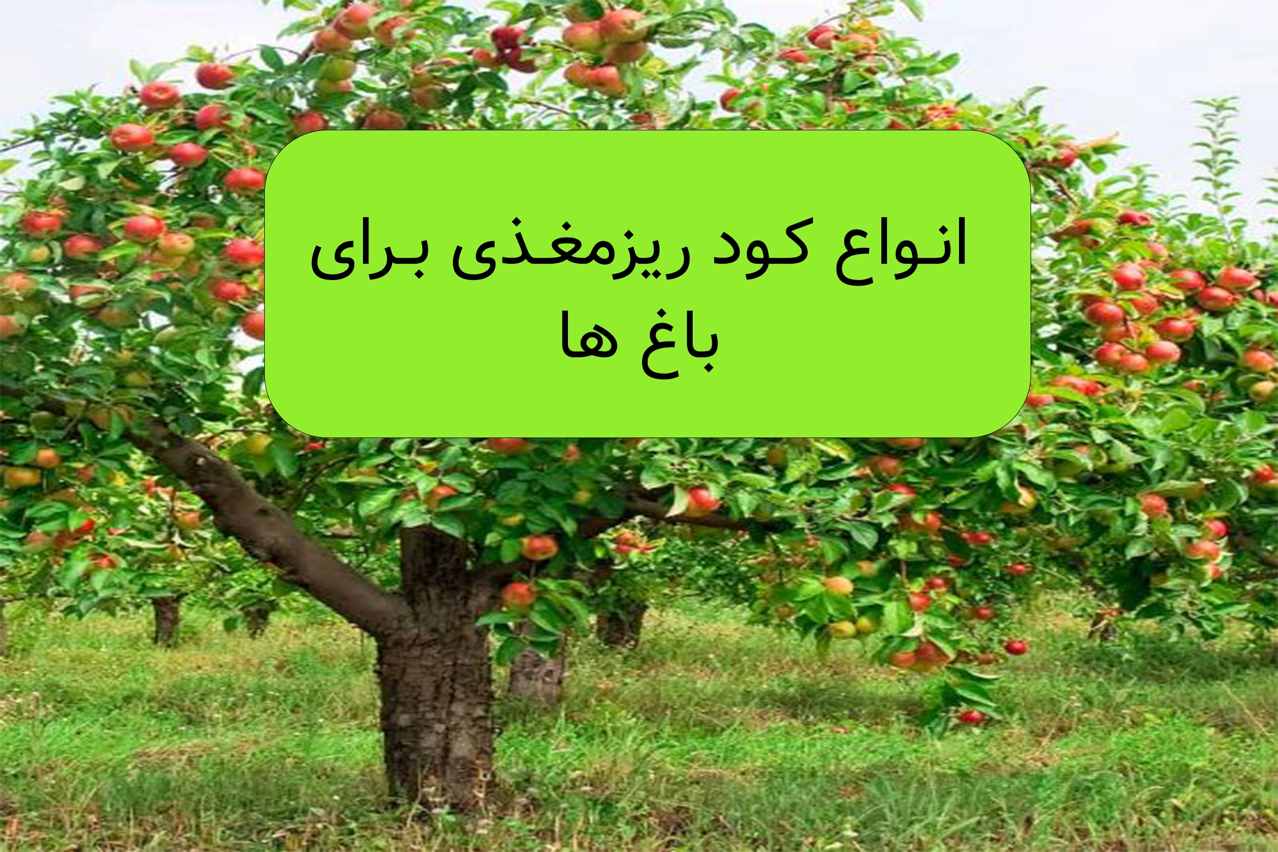 انواع کودهای ریزمغذی
