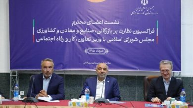 رسیدگی فوری به پرونده متقاضیان بیمه بیکاری/بازنگری قانون حمایت از صنایع در هفته جاری