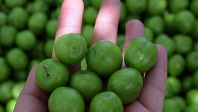 بازار میوه