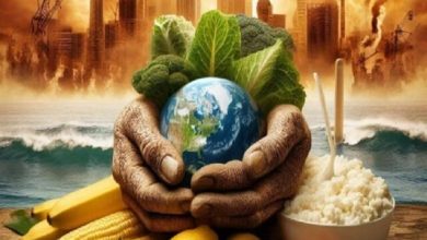 تأثیر تغییرات اقلیم و کمبود آب بر آینده تأمین غذا