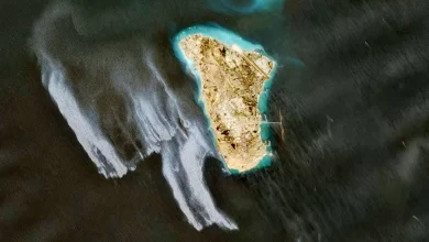 جزیره خارگ