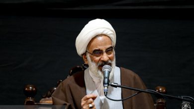 حاجی صادقی: تنگه هرمز را باید تنگه تنگسیری نامید