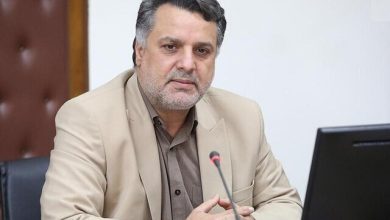 حبیبی:وام ودیعه مسکن دانشجویان متأهل به ۳ونیم میلیارد ریال افزایش یافت