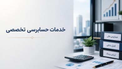 خدمات حسابرسی تخصصی