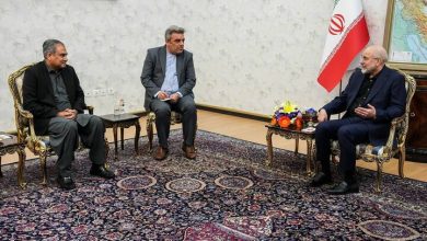 دیدار وزیر کشور پاکستان با قالیباف