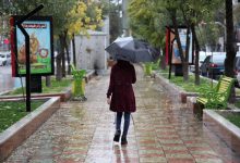 سازمان هواشناسی