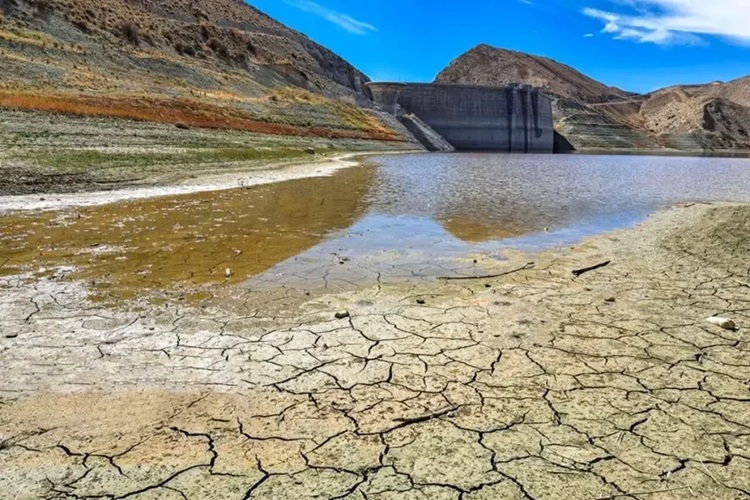 سازمان هواشناسی