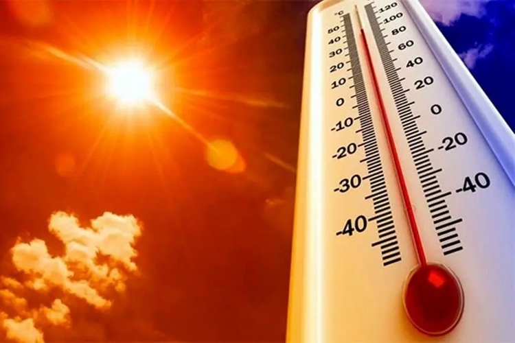 سازمان هواشناسی
