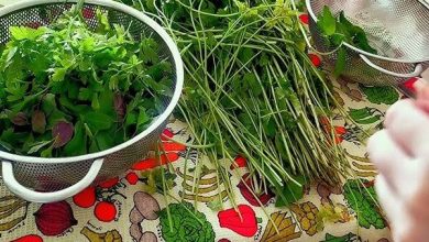 قیمت سبزی برگی و غیر برگی اعلام شد