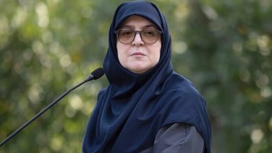 سخنگوی دولت: هیچ اختلافی در کشور وجود ندارد