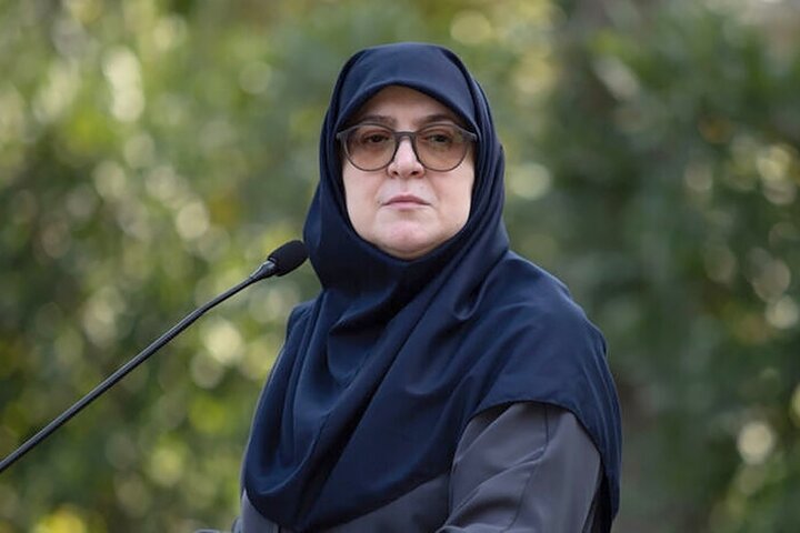 سخنگوی دولت: هیچ اختلافی در کشور وجود ندارد