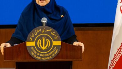 سخنگوی دولت هیچ نگرانی درباره ذخایر مرغ کشور وجود ندارد