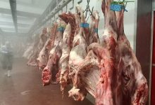 سهم بسته‌بندی در قیمت گوشت چقدر است؟