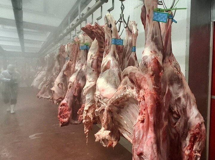 سهم بسته‌بندی در قیمت گوشت چقدر است؟