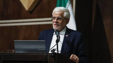 عارف: دولت از بازگشت نخبگان حمایت می‌کند