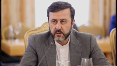 غریب‌آبادی: رژیم صهیونیستی به دلیل ترس از آشکار شدن جنایاتش، از کشتی کمک‌رسان می‌ترسد