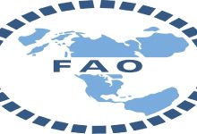 افزایش قیمت جهانی مواد غذایی برای سومین ماه متوالی