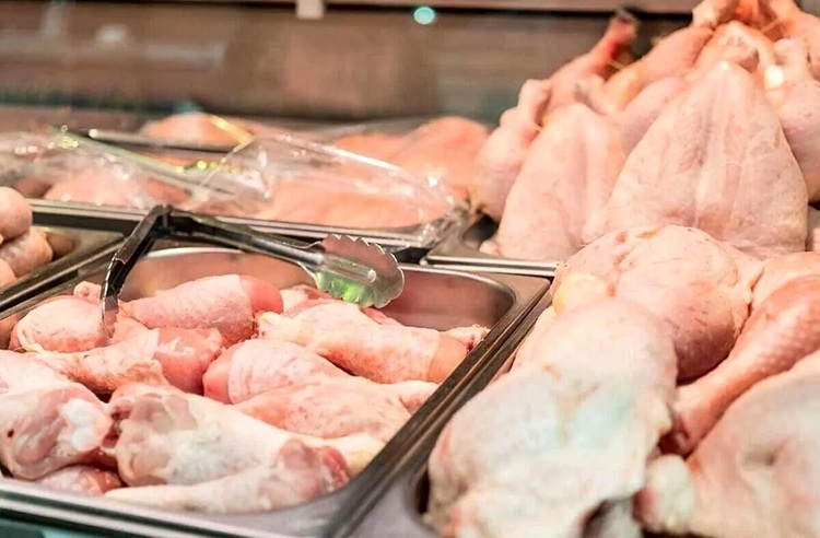 قطعه‌بندی مرغ