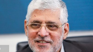 محمدرضا رئوف شیبانی