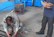 مرکز معاینه فنی رودهن با دستور دادستان پلمب شد