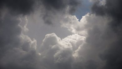 وزش باد شدید و احتمال طوفان گرد و خاک در تهران/ بارش باران و رعد و برق