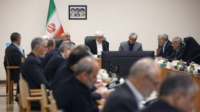 هیئت دولت آیین‌نامه ساماندهی پهپادهای غیرنظامی را تصویب کرد