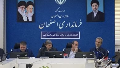چتر بهزیستی بر سر خانواده‌های دارای چندقلو گسترده‌تر شد