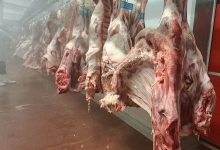 چین مجوز صدها صادرکننده گوشت گاو آمریکایی را تمدید کرد