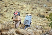 صدور مجوز کوله بری در مرزهای ایلام