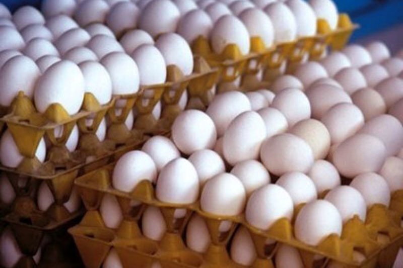 قیمت انواع تخم مرغ پوست سفید و قهوهای اعلام شد
