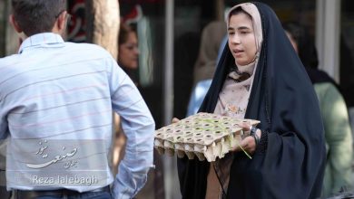 بازار تخم‌مرغ