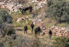 تحلیلگران صهیونیست: سوق دادن لبنان به جنگ داخلی از اول هدف اسرائیل بود