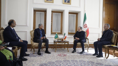 دیدار وزیر کشور پاکستان با عراقچی