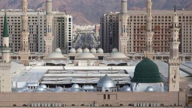 ستاد مدینه